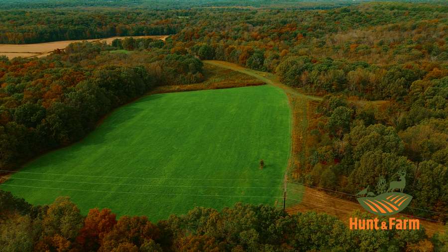 Still 2025-11-29 081237_1.30.1.jpg